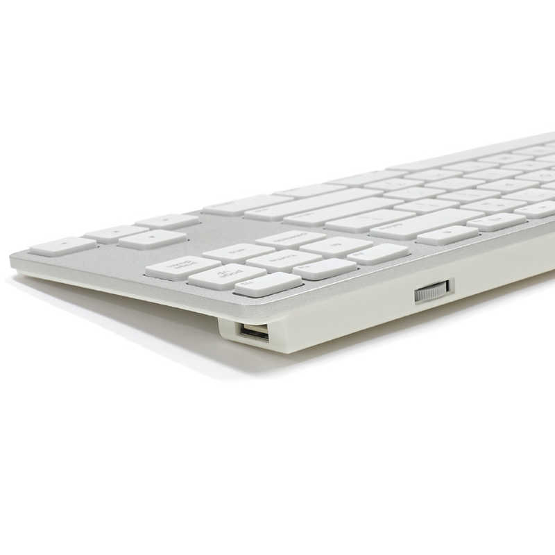 MATIAS MATIAS Matias Wired Aluminum Tenkeyless KeyboardforMac FK308S シルバｰ 英語配列 FK308S シルバｰ 英語配列