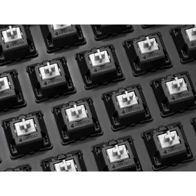 FILCO キーボード Majestouch 2SS Edition Tenkeyless MX
