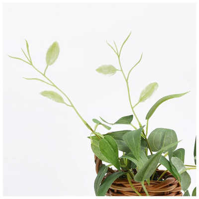 K ページ ケーアイジャパン 光触媒 インテリアグリーン 壁掛け 163695