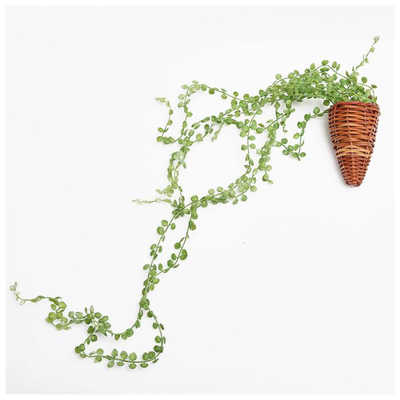 K ページ ケーアイジャパン 光触媒 インテリアグリーン 壁掛け 163695