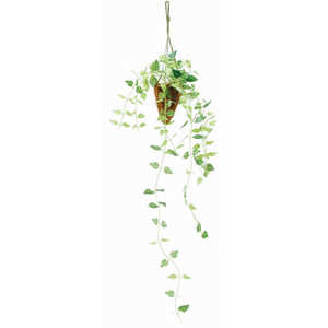 ケーアイジャパン 光触媒 インテリアグリーン ハンギング 163725.ポトス GREENHANGING447 ケーアイジャパン 光触媒 インテリアグリーン ハンギング 163725.ポトス GREENHANGING447