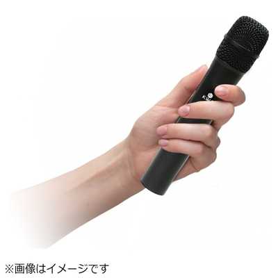 KWS-899H/H ワイヤレスハンドマイクセット Amazon.co.jp: KWS