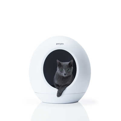 冷暖房付ペットルーム Petyes Room