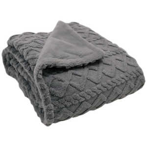 広電 電気かけしき毛布 ［掛・敷毛布］ CWB551G-HP