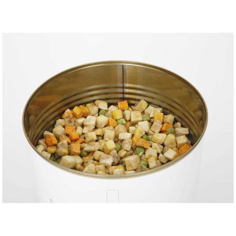 セイエンタプライズ セイエンタプライズ サバイバルフーズ 野菜シチュー1号缶(大缶)  