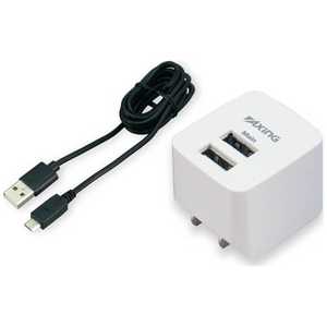多摩電子工業 タブレット/スマートフォン対応AC-USB充電器 1.2m 2.4A(2ポート:ホワイト) TA54SUW