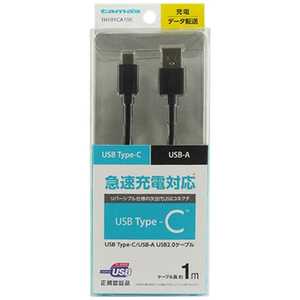 多摩電子工業 1m[USB-C ⇔ USB-A]2.0ケーブル 充電･転送 TH101CA10K ブラック