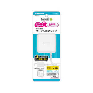 多摩電子工業 Type-Cコンセントチャージャー2.4A TA92CW ホワイト 多摩電子工業 Type-Cコンセントチャージャー2.4A TA92CW ホワイト