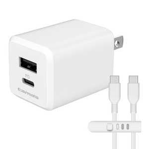 �����d�q�H�� PD30W �R���Z���g�`���[�W���[C�{A CtoC�P�[�u�� �z���C�g TAP157UCCC10W