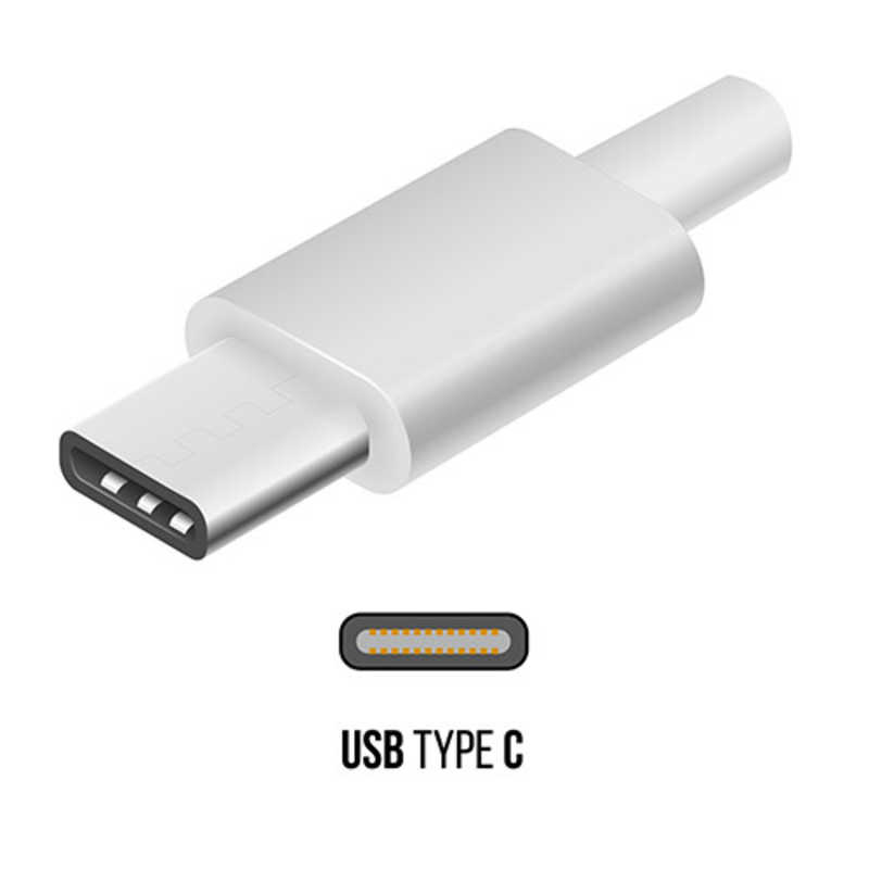 オズマ オズマ USB-C ⇔ USB-A 2.0 充電・転送 やわらかケーブル 0.5m BKS-UDS3C05K ブラック BKS-UDS3C05K ブラック