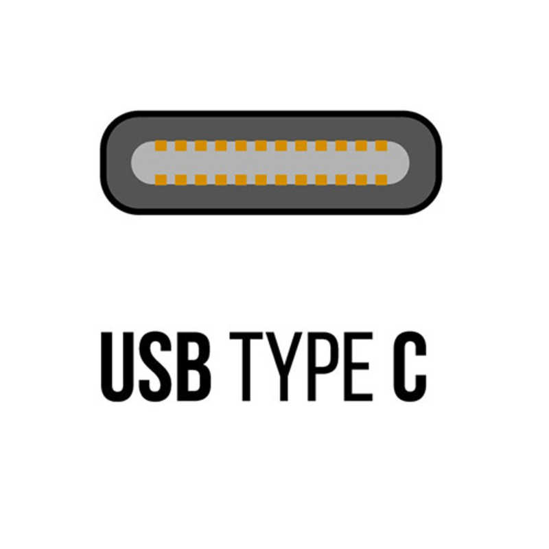 オズマ オズマ DC-USB-C USB-A充電器 3.4A 2ポート -C -A ブラック BKS-DCUC34ADK BKS-DCUC34ADK