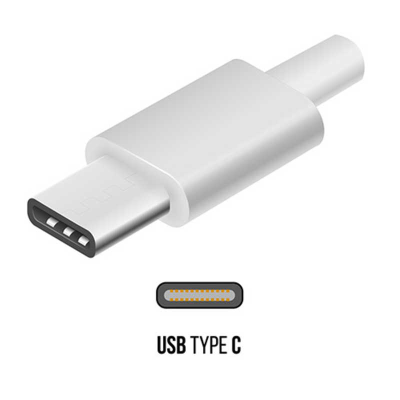 オズマ オズマ USB-C ⇔ USB-A USB2.0 3A対応USBケーブル 充電・転送 0.5m BKS-UD3CS050W ホワイト BKS-UD3CS050W ホワイト