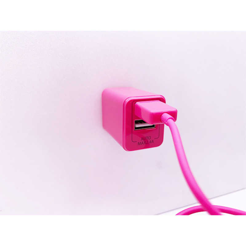 オズマ オズマ AC-USB充電器2.4A (2ポート・ピンク) BKS-ACU224ADP ピンク 【ビックカメラグルｰプオリジナルモデル】 BKS-ACU224ADP ピンク 【ビックカメラグルｰプオリジナルモデル】