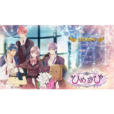 拓洋興業 Switchゲームソフト ひめひび Another Princess Days ~White