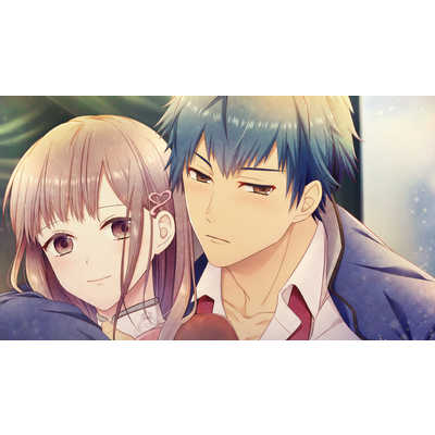拓洋興業 Switchゲームソフト ひめひび Another Princess Days ~White