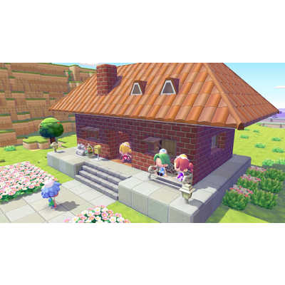 ポケモン Switch2ゲームソフト ぽこ あ ポケモン POT-P-AAB5A の通販