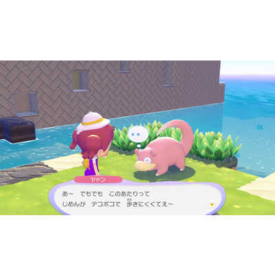 ポケモン Switch2ゲームソフト ぽこ あ ポケモン POT-P-AAB5A の通販