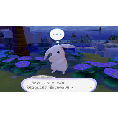 ポケモン Switch2ゲームソフト 【早期購入特典付き】 ぽこ あ ポケモン