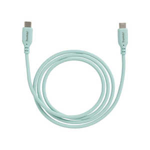 HAMEE humor USB 2.0 CABLE TYPE-C to TYPE-C 1.0m ミントグリーン HUMORCCABLE1MT