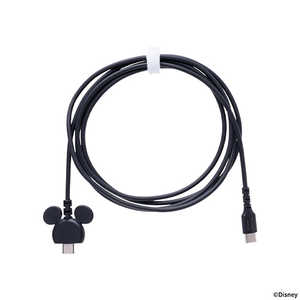 HAMEE ディズニーキャラクター USB 2.0 CABLE TYPE-C to TYPE-C 1.5m ブラック 669-982983 HAMEE ディズニーキャラクター USB 2.0 CABLE TYPE-C to TYPE-C 1.5m ブラック 669-982983