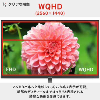 Pixio ピクシオ PX248 Wave / ベージュ [PX248WAVE BE-O] 23.8
