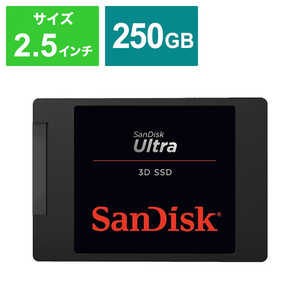 サンディスク 内蔵SSD｢バルク品｣ SDSSDH3-250G-J25