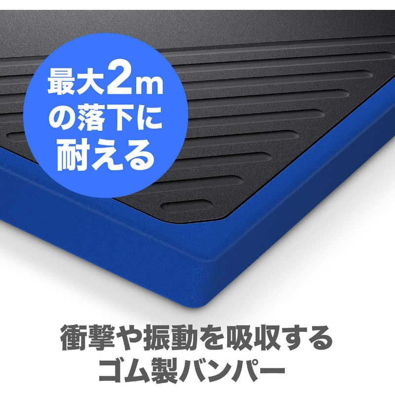 WESTERN DIGITAL WESTERN DIGITAL 外付けSSD USB-A接続 My Passport Go [2TB /ポータブル型] WDBMCG0020BBT-JESN WDBMCG0020BBT-JESN