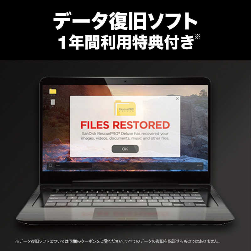 サンディスク サンディスク Cfexpressカード Type B エクトリーム プロ (512GB) SDCFE-512G-JN4NN SDCFE-512G-JN4NN