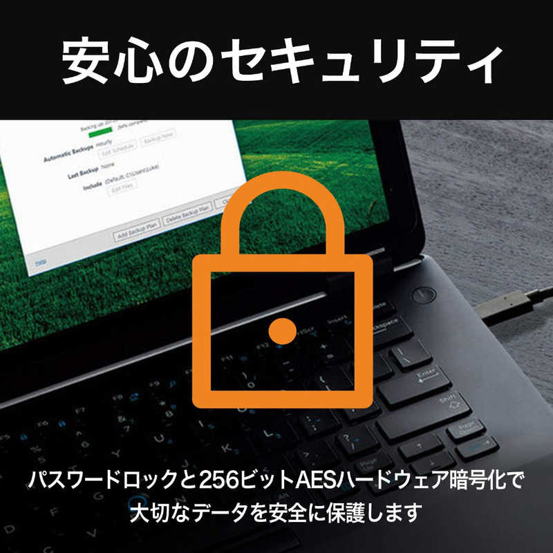 WESTERN DIGITAL WESTERN DIGITAL 外付けSSD USB-C+USB-A接続 My Passport SSD 2020 Hi-Speed ブルー  ポータブル型  2TB  WDBAGF0020BBL-JESN WDBAGF0020BBL-JESN