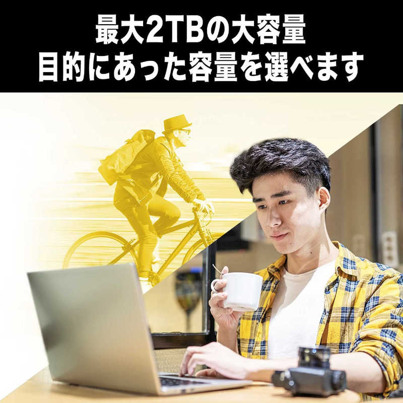 WESTERN DIGITAL WESTERN DIGITAL 【アウトレット】外付けSSD USB-A接続 WD Elements SE SSD  480GB  ポータブル型  WDBAYN4800ABK-JESN WDBAYN4800ABK-JESN