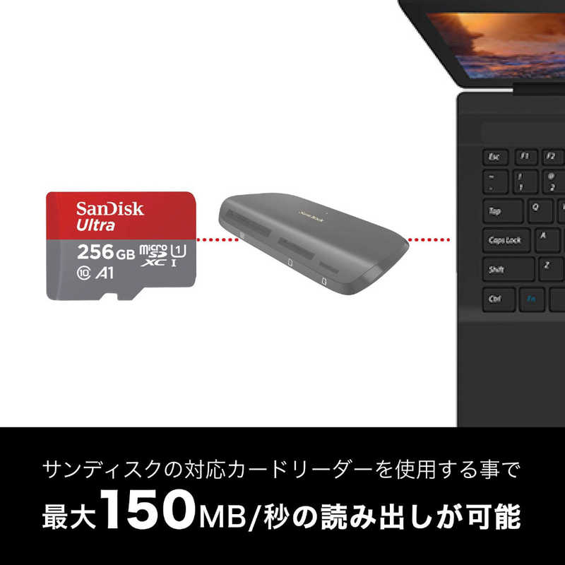 サンディスク サンディスク microSDXCカード Ultra (Class10/256GB) SDSQUAB-256G-JN3MA SDSQUAB-256G-JN3MA