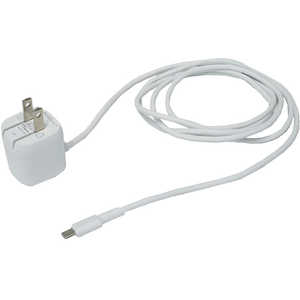 イツワ商事 PD20W AC充電器 Type-Cケーブル一体型 折り畳みプラグ MAC2202WH イツワ商事 PD20W AC充電器 Type-Cケーブル一体型 折り畳みプラグ MAC2202WH