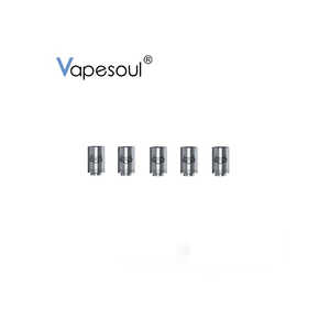 VPジャパン Vapesoul Balet coil(5P) SMV70121