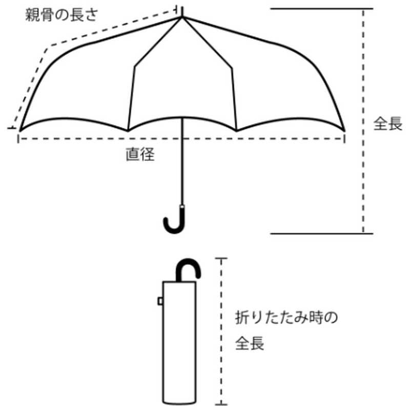 ビコーズ ビコーズ リムカラーボーダー ミニ ビコーズ グリーン BE-01914 BE-01914