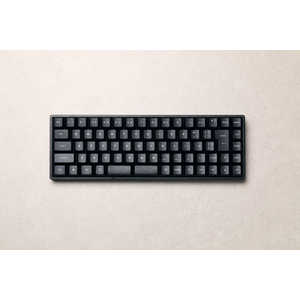 VARO �Q�[�~���O�L�[�{�[�h ���ړ_ ���C�X�C�b�`(�É�) ���s�b�h�g���K�[�Ή� �L�� ���{��z�� 65�� �m�L�� / USB-A�{USB-C�n �u���b�N VM65HES-J-NCB