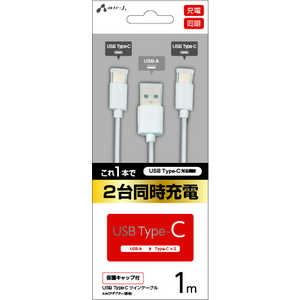 エアージェイ Type-Cツインケーブル1m WH  UKJ-TWTC1M