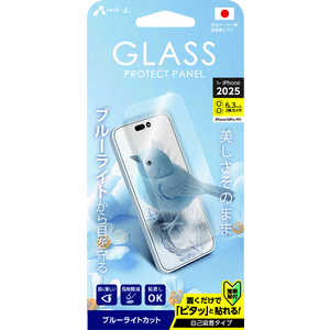  iPhone 17ե 饹ѥͥ ֥롼饤ȥå(16 Pro) ꥢ VGNP25BL