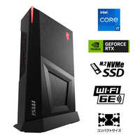 MSI ゲーミングデスクトップパソコン Trident X2 13NUF-065JP 