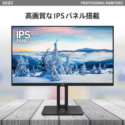 MSI ビジネスモニター ［24.5型 /フルHD(1920×1080) /ワイド