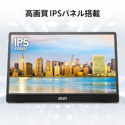 MSI PCモニター ［15.6型 /フルHD(1920×1080) /ワイド］ PRO MP161 E2