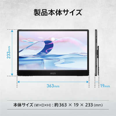 MSI PCモニター ［15.6型 /フルHD(1920×1080) /ワイド］ PRO MP161 E2