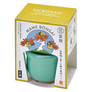 ���V���| HACO MAME �~�͍͔|�Z�b�g�g�t GD-96503