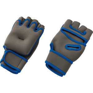 DANNO ウェイトグローブ1000 (1kg×2) D-5363