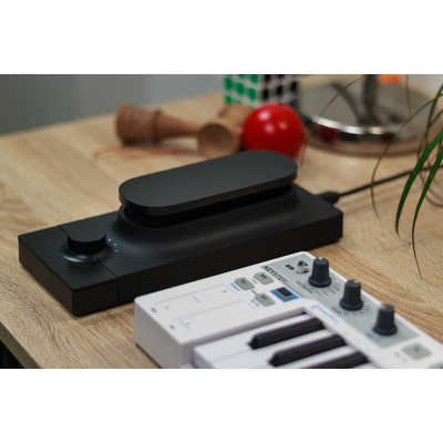 EXPRESSIVEE Touche SE バーチャルインストゥルメントコントローラー