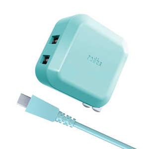 ラディウス 2Port USB AC Adapter + Micro USB Cable RK-ADA01C シアン [約1.0m]