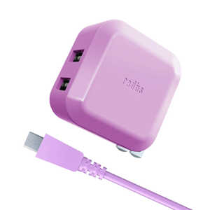 ラディウス 2Port USB AC Adapter + Micro USB Cable RK-ADA01V バイオレット [約1.0m]