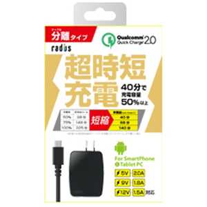 ラディウス ［micro USB］AC－USB充電器 2.0A ＋micro USBケーブル 1m （ブラック）RK-ADA31K RK-ADA31K