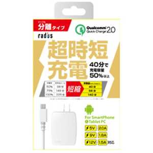 ラディウス タブレット/スマートフォン対応microUSB AC‐USB充電器+microUSBケーブル RK-ADA31W ラディウス タブレット/スマートフォン対応microUSB AC‐USB充電器+microUSBケーブル RK-ADA31W