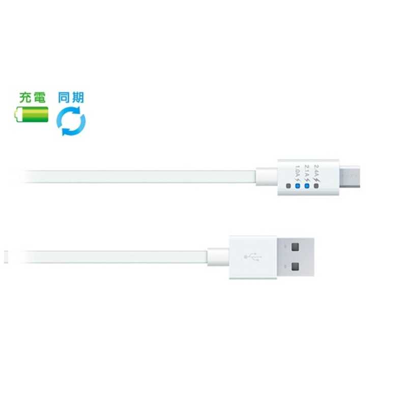 ラディウス ラディウス タブレット/スマートフォン対応USBケーブル 充電･転送(1.0m･ホワイト) RK-ADC11W RK-ADC11W