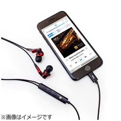 radius HP-NHL21 デジタルイヤフォン赤 ラディウス 【アウトレット】イヤホン カナル型 レッド